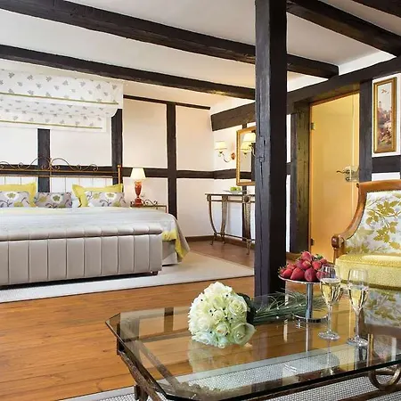 A-rosa Gothisches Haus ホテル 4*