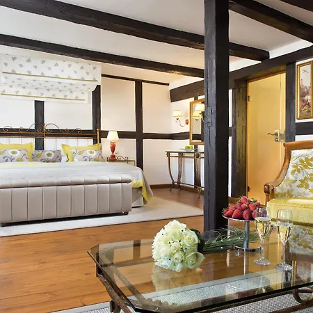 فندق A-rosa Gothisches Haus فيرنغروده