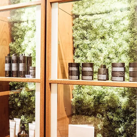 A-rosa Gothisches Haus 4* Вернигероде